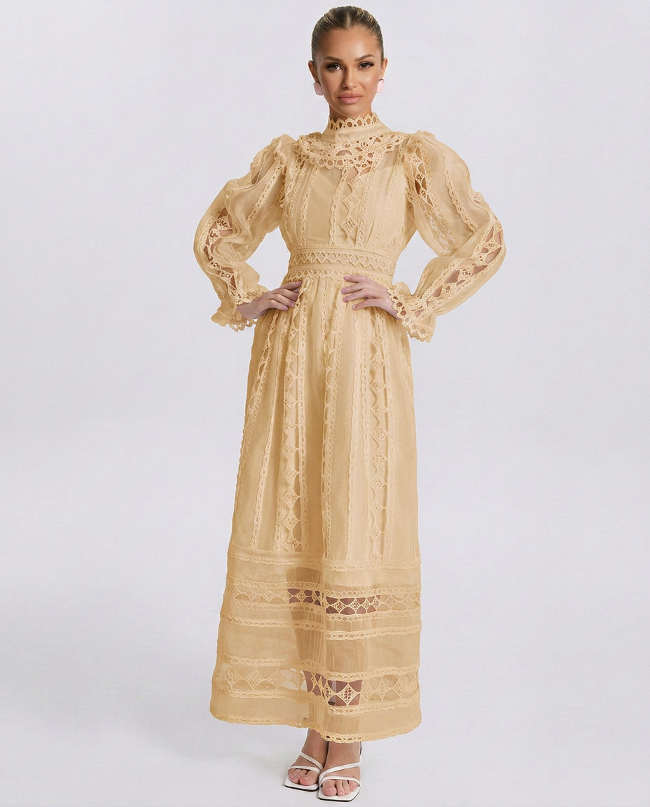 Lace Finish Dress With High Neck Evening Evening